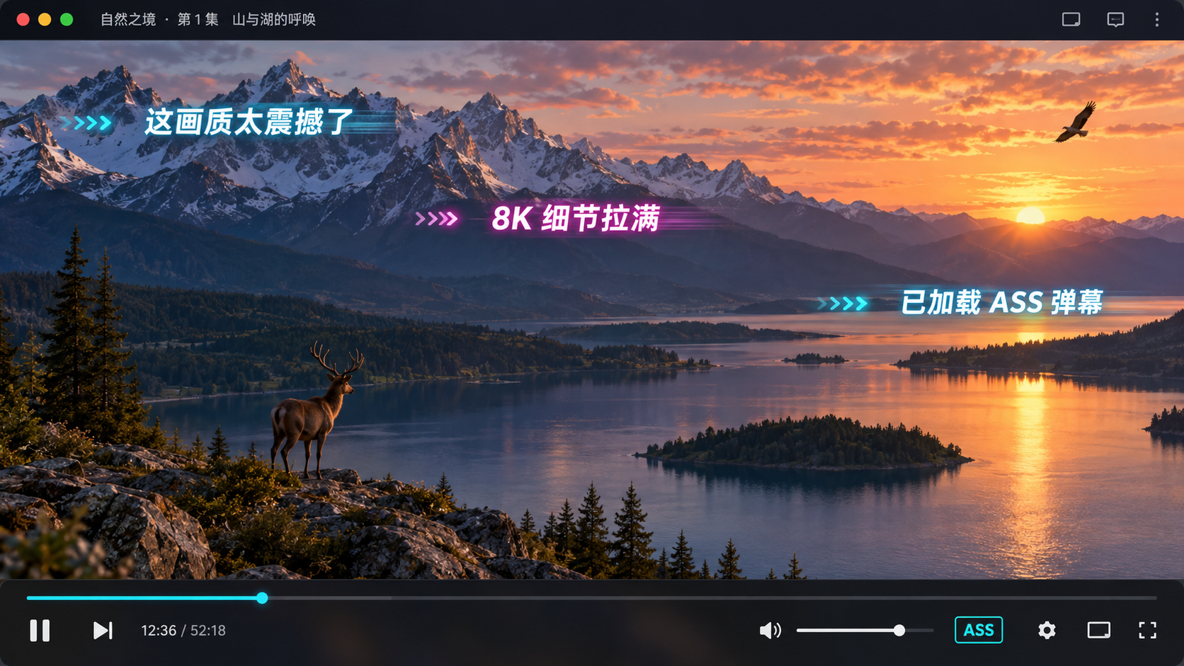 ASS 弹幕在播放器中的显示效果示意